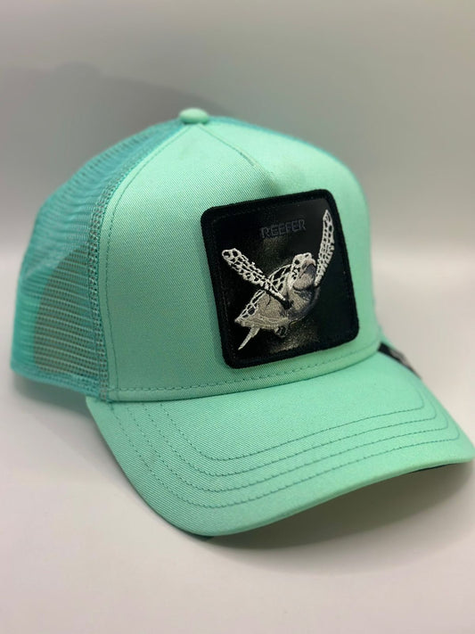 Gorra goorin bros tortuga azul