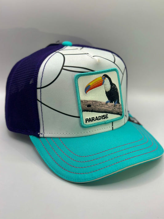 Gorra goorin bros paradise tucan