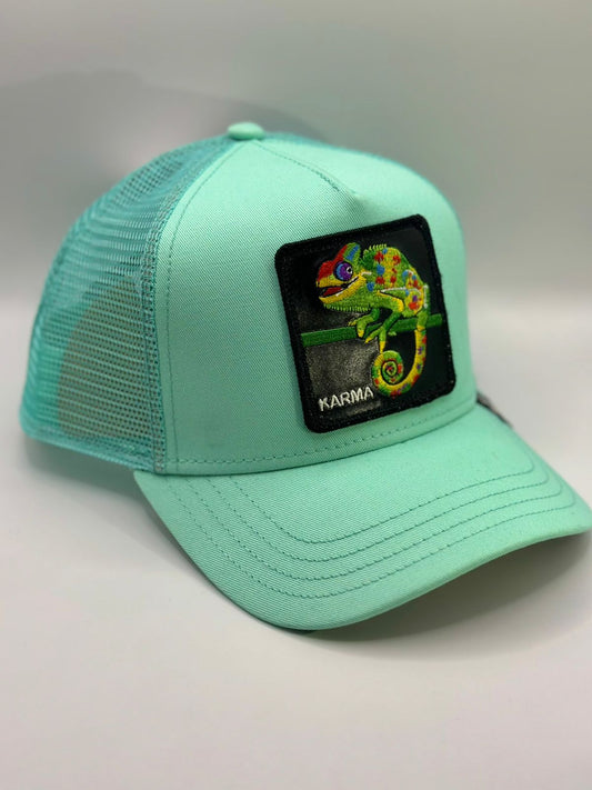 Gorra goorin bros karma camaleon