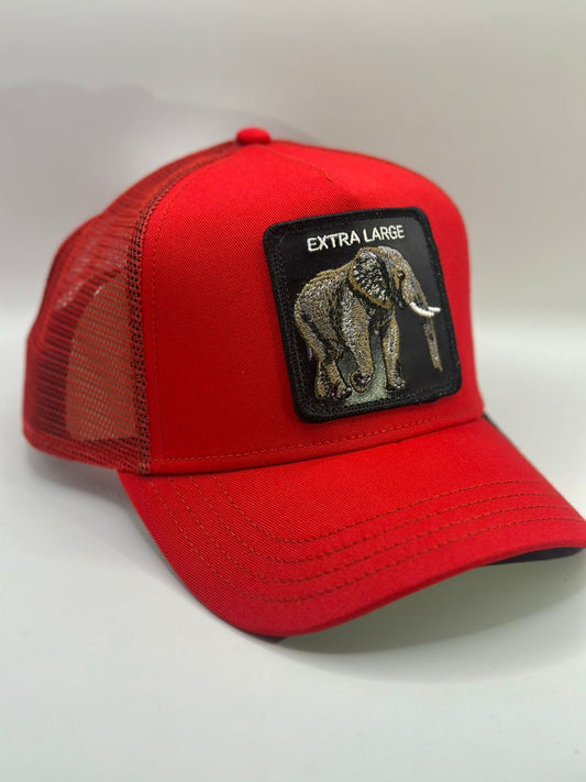 Gorra goorin bros elefante