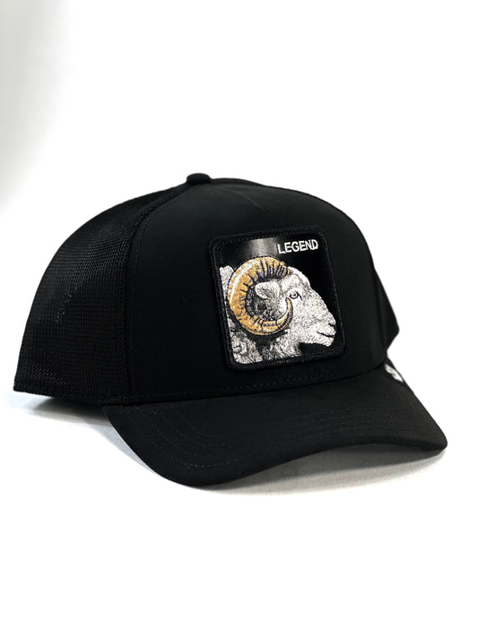 Gorra Goorin Bros Legend Black