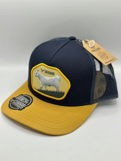Gorra Ranch & Corral savanna 01