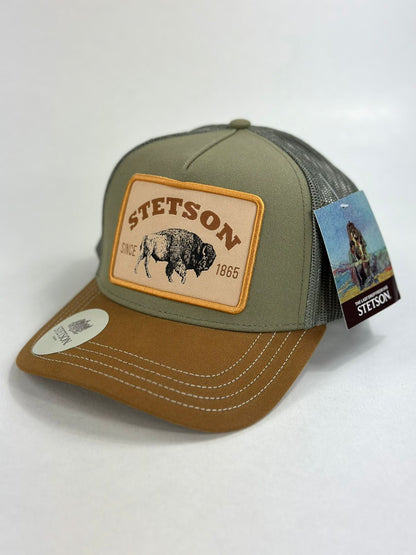 Gorra Stetson Bisonte